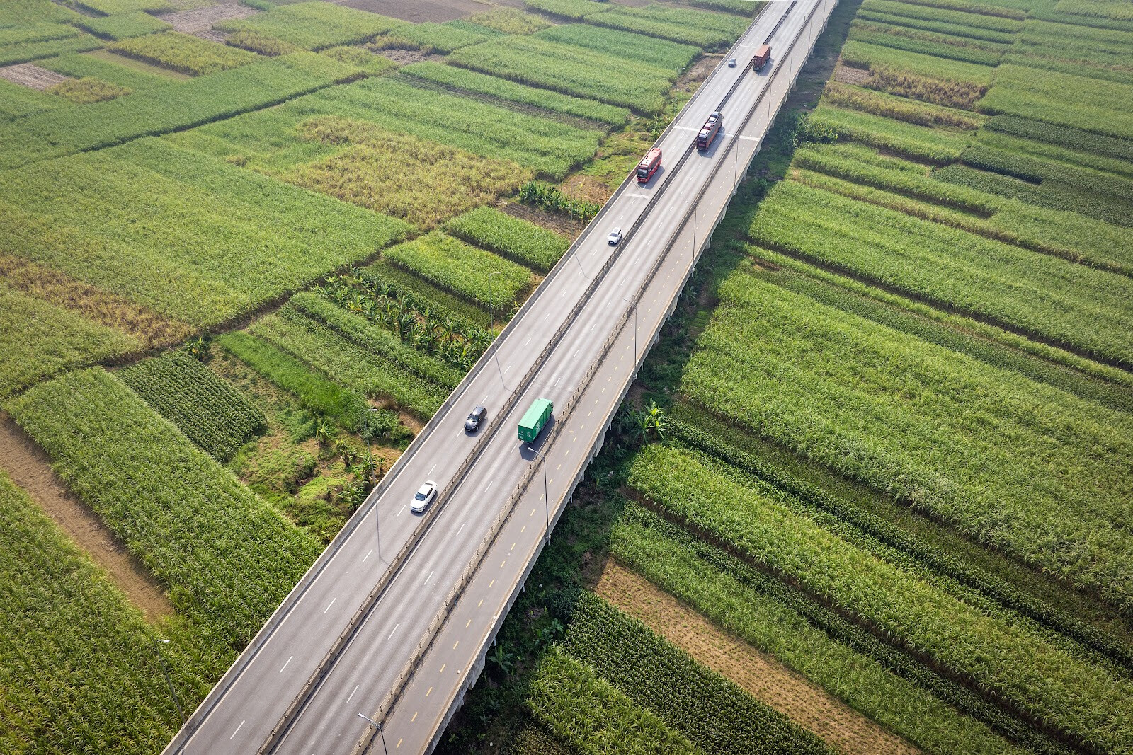 Số hóa logistics giúp duy trì độ tươi ngon và giá trị nông sản thông qua việc chuẩn hóa đóng gói, tối ưu tốc độ vận chuyển, tự động hóa quy trình và minh bạch hóa dữ liệu quản lý.